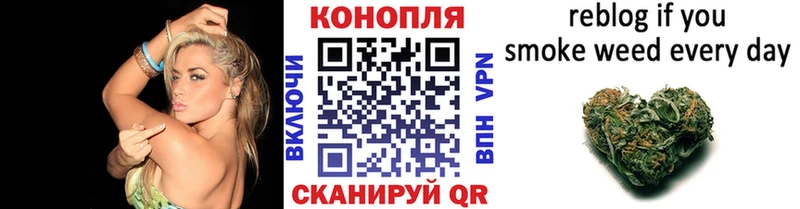 Конопля Клинцы