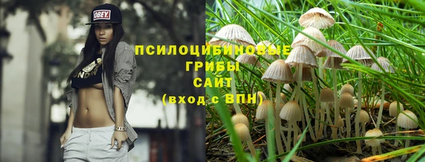 apvp Михайловка