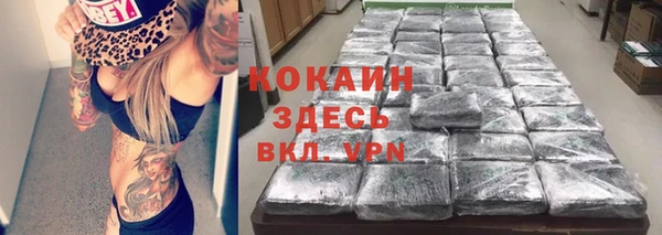 тгк Михайлов