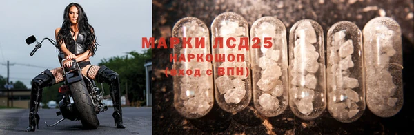 тгк Михайлов