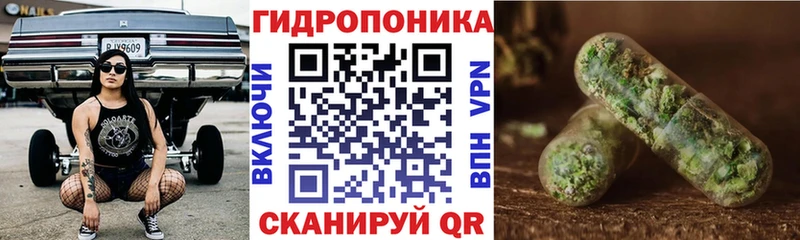 Купить закладки  Клинцы  Канабис Amnesia 